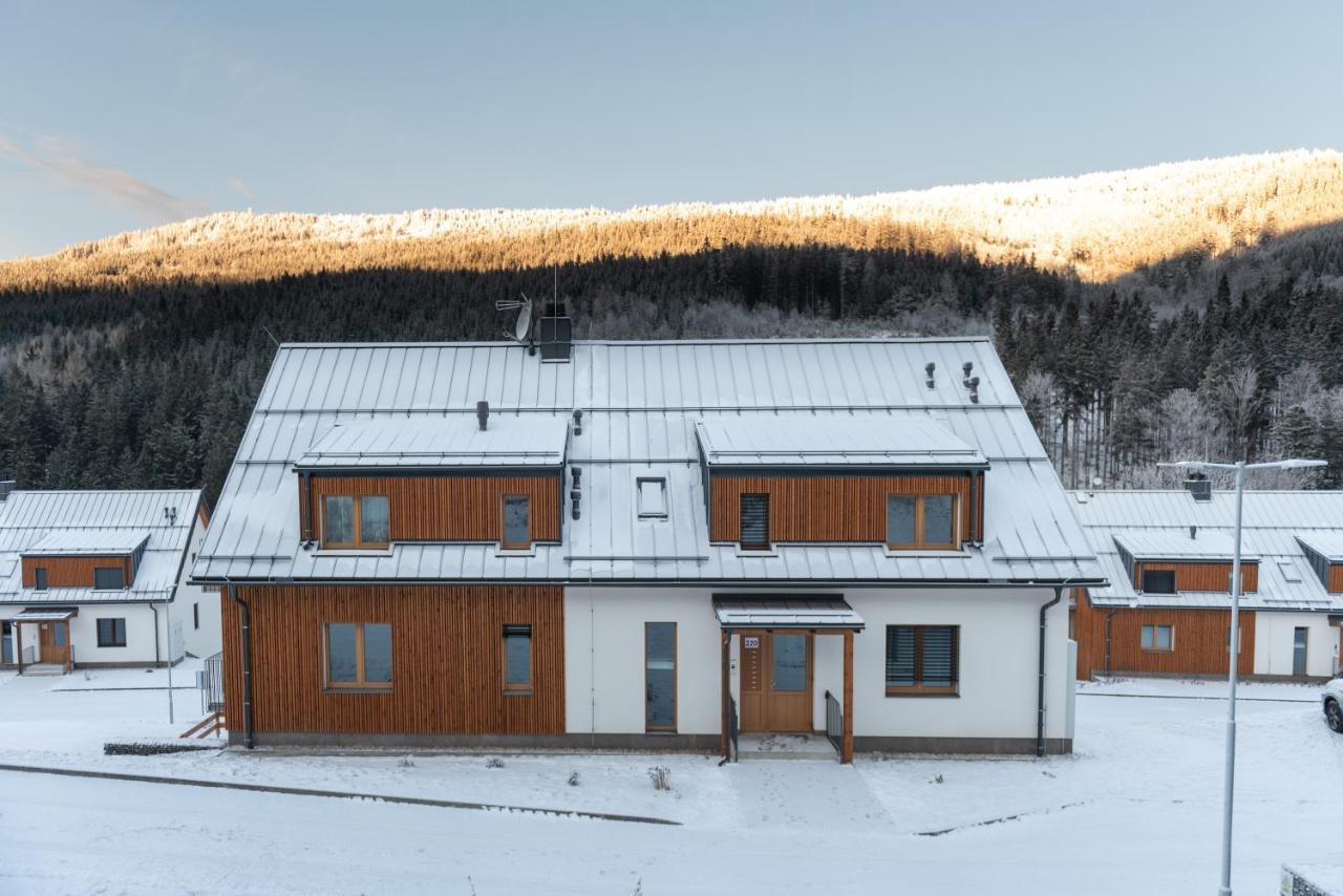 Apartman Pod Sneznikem Dolni Morava Exterior photo