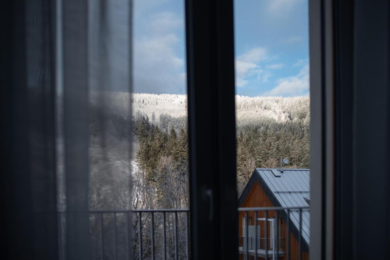 Apartman Pod Sneznikem Dolni Morava Exterior photo
