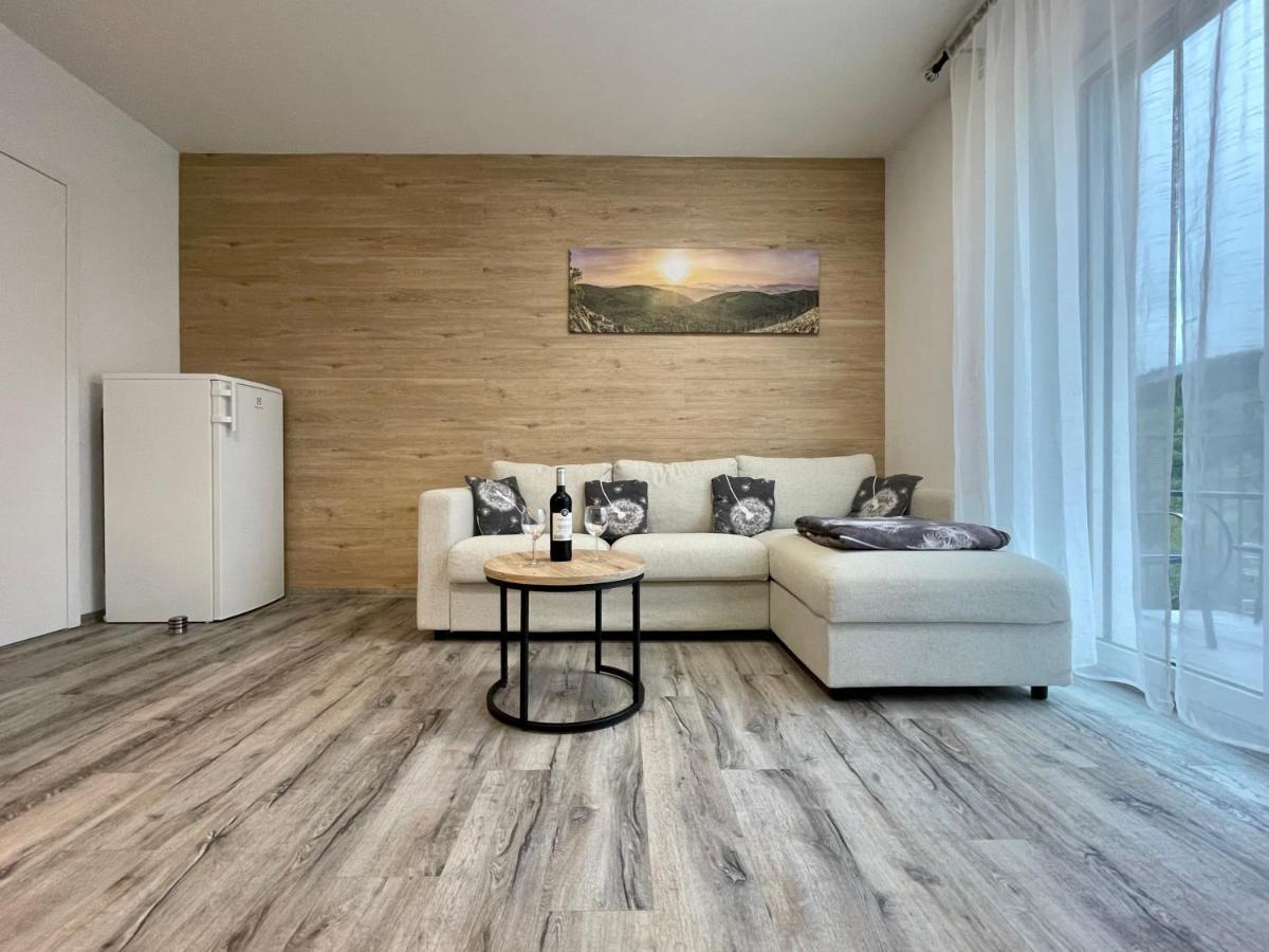 Apartman Pod Sneznikem Dolni Morava Exterior photo